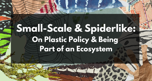 Small-Scale and Spiderlike - On Plastic Policy and Being Part of an Ecosystem