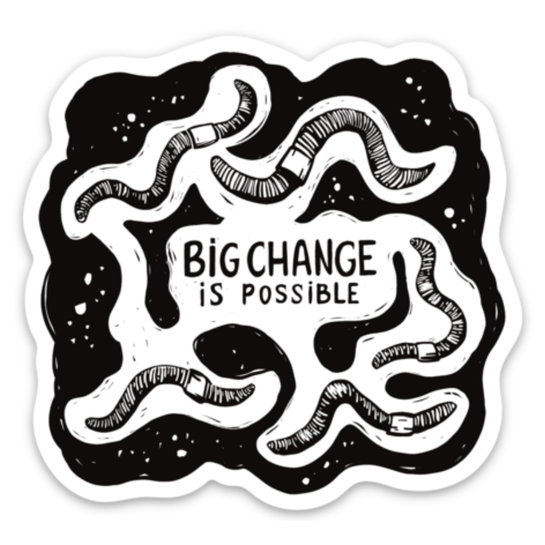 BIG CHANGE IS POSSIBLE